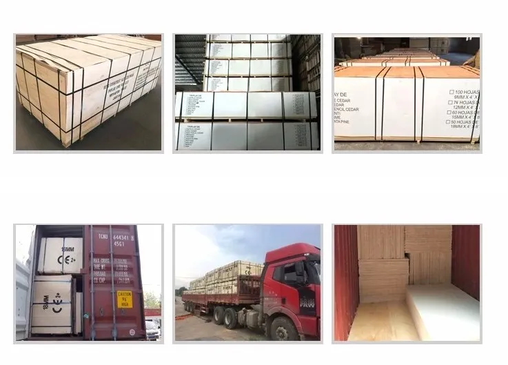 (Poplar, Combi, Birch Core) Film Faced Phenolic Plywood for Construction