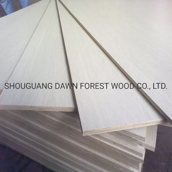 (Poplar, Combi, Birch Core) Film Faced Phenolic Plywood for Construction