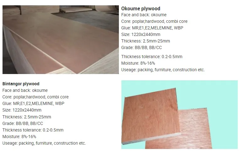 (Poplar, Combi, Birch Core) Film Faced Phenolic Plywood for Construction