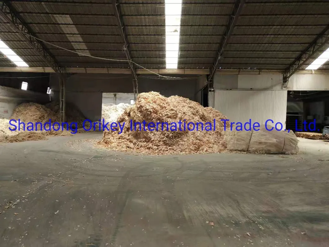 1220*2440*10mm OSB2 for Decoration Good Quality Mr Glue From Manufacture China