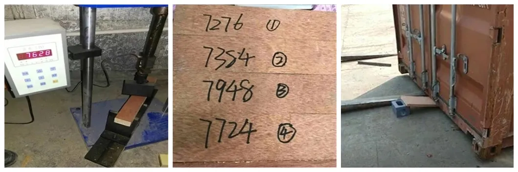 1220*2440/1160*2400 28mm Thickness Container Floor Plywood