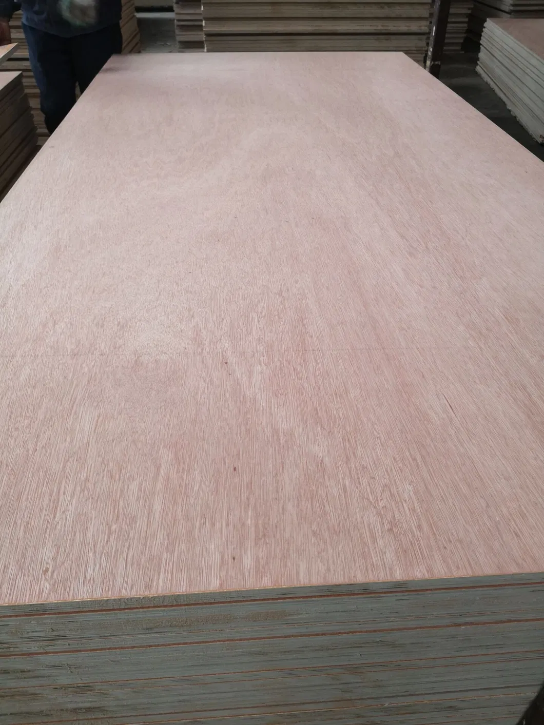 1220*2440*12/15/18mm Melamine Coated Plywood