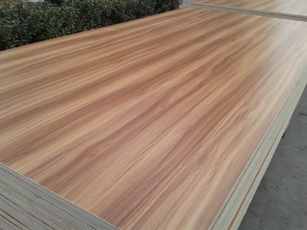 1220*2440*12/15/18mm Melamine Coated Plywood