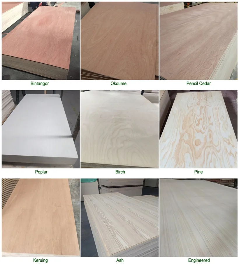 1220*2440*12mm Poplar Core Pencil Cedar Plywood for Furniture