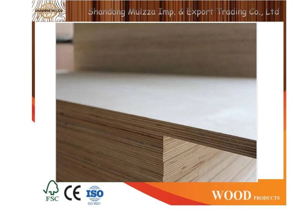 1220 *2440*15mm E0 Glue Poplar Core Melamine Laminated Plywood for Furniture