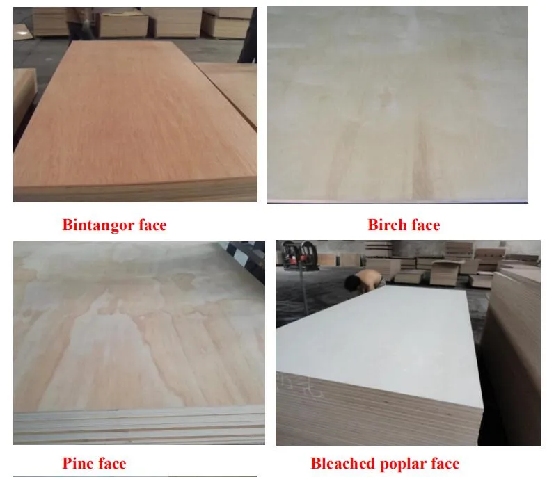 1220*2440*15mm E1 Glue Bleached Veneer Faced Poplar Core Plywood