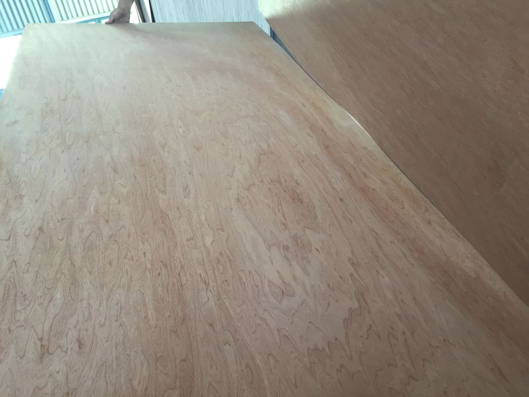 1220*2440*18mm 2 Time Hot Press Commercial Plywood E0 Glue From Manufacture