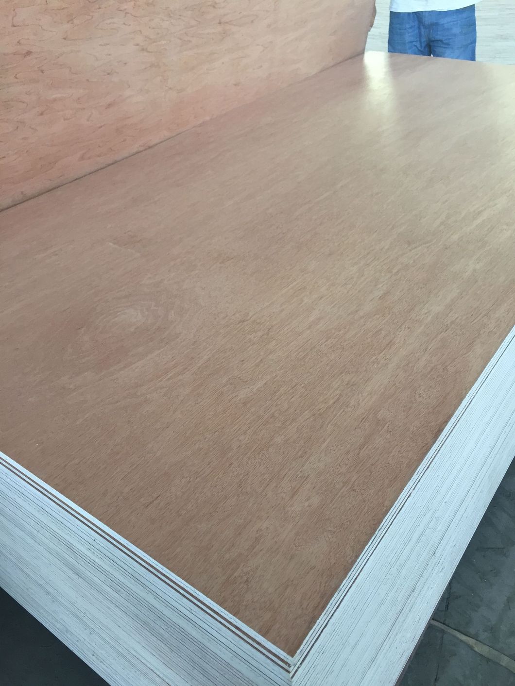 1220*2440*18mm 2 Time Hot Press Commercial Plywood E0 Glue From Manufacture