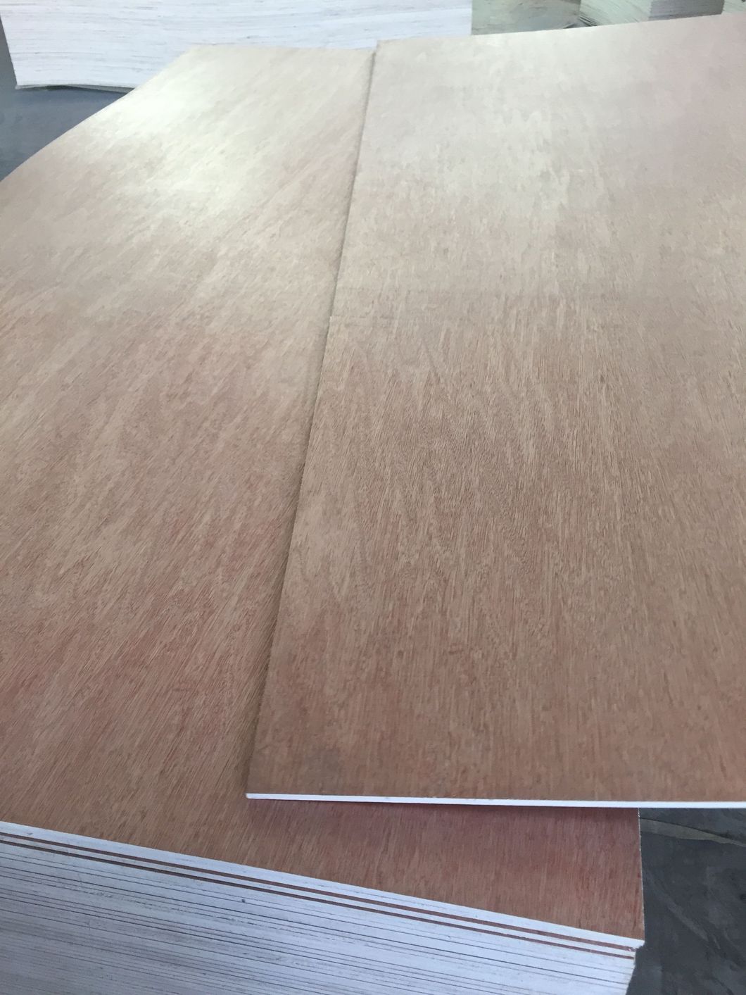 1220*2440*18mm 2 Time Hot Press Commercial Plywood E0 Glue From Manufacture