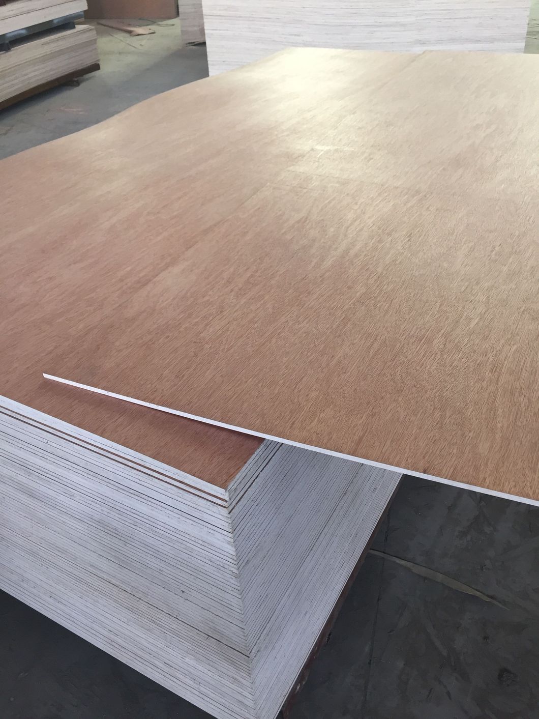 1220*2440*18mm 2 Time Hot Press Commercial Plywood E0 Glue From Manufacture