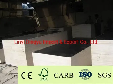 1220 *2440*18mm Competitive Price Film Faced Plywood