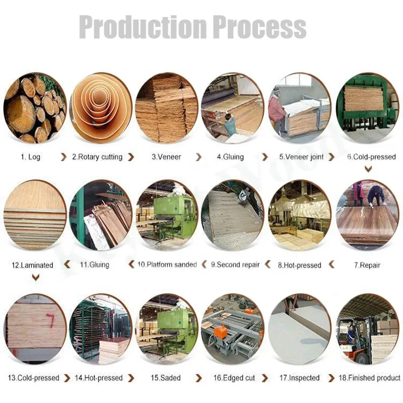 1220*2440*18mm Construction Board Film Faced Plywood