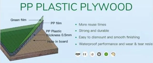 1220*2440*18mm Plastic Coated Board PP Film Faced Plywood Shuttering for Construction