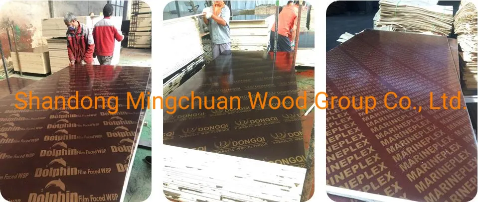 1220*2440*18mm Plastic Coated Board PP Film Faced Plywood Shuttering for Construction