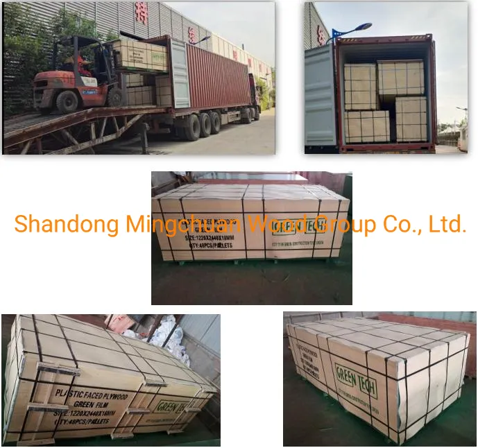 1220*2440*18mm Plastic Coated Board PP Film Faced Plywood Shuttering for Construction