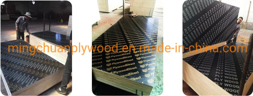 1220*2440*18mm Red Film Faced Plywood WBP Glue Phenolic Board Construction Plywood