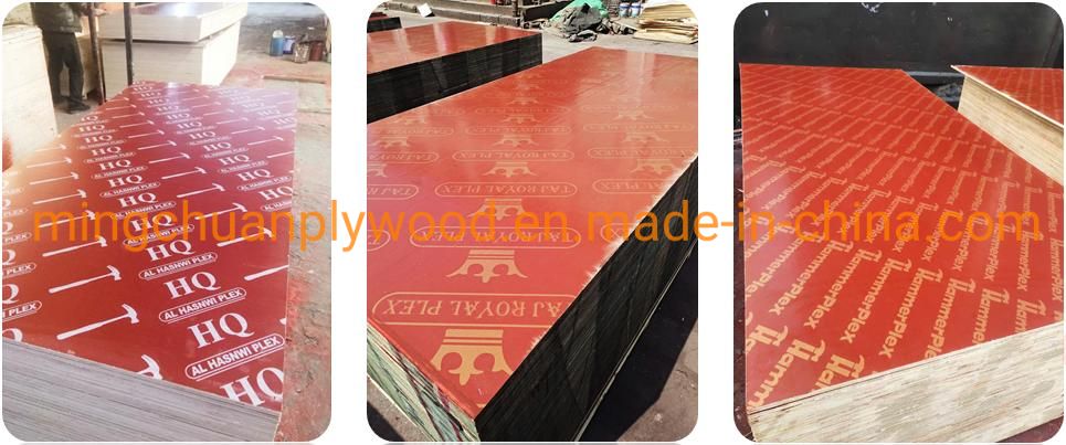 1220*2440*18mm Red Film Faced Plywood WBP Glue Phenolic Board Construction Plywood