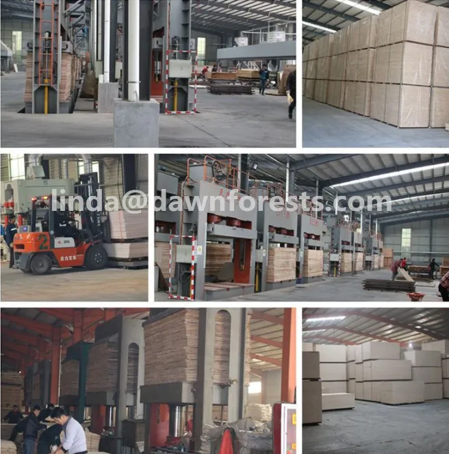 1220*2440*21mm Sanding Film Faced Plywood for Construction