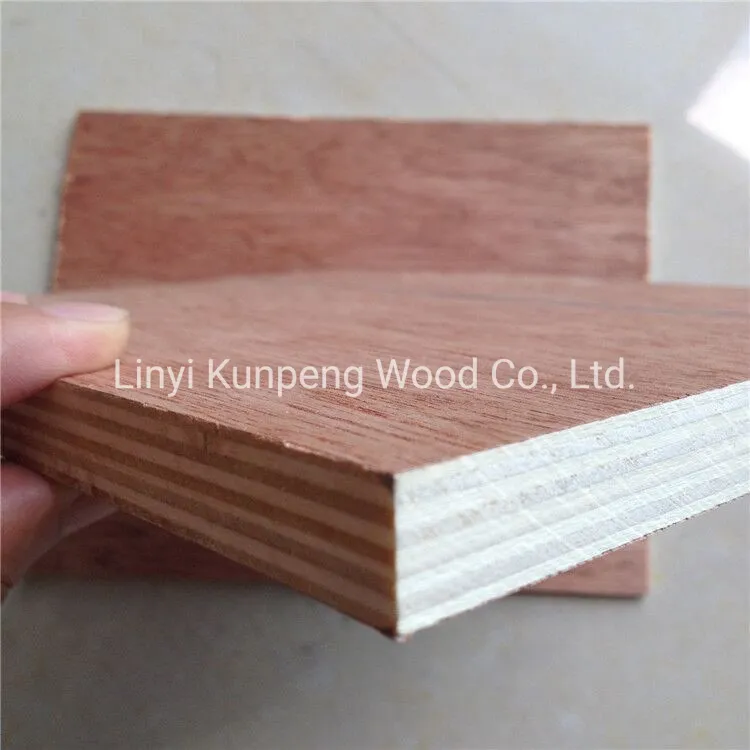 1220 *2440*3-25mm Bintangor Plywood with Poplar Core for Furniture and Construction