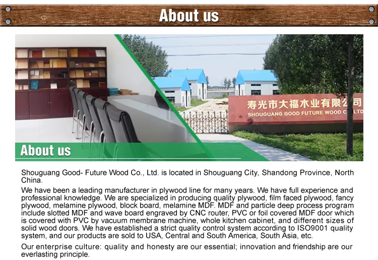 1220*2440 Marine Film Faced Plywood Sheet Construction Plywood