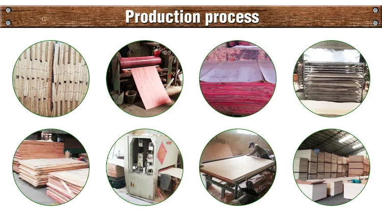 1220*2440 Marine Film Faced Plywood Sheet Construction Plywood