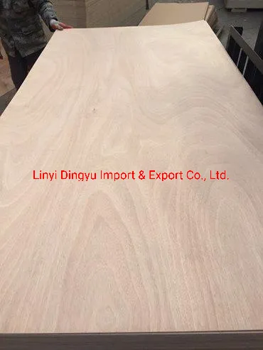 1220*2440mm Bintangor Commercial Plywood for Living Room Furniture