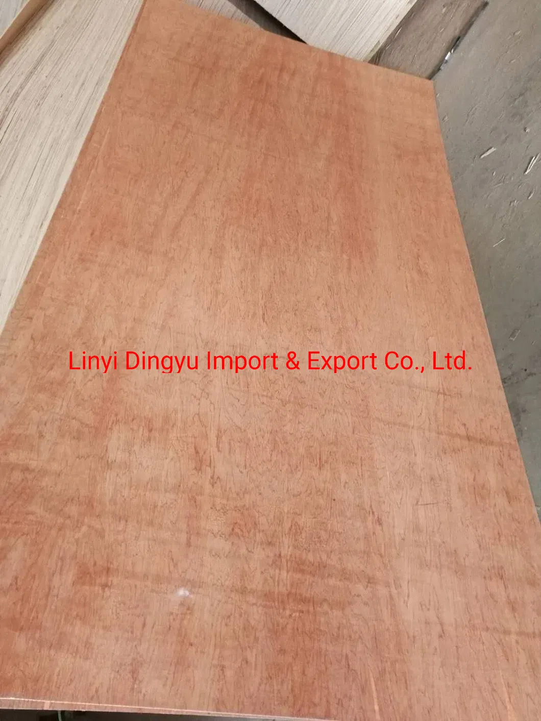 1220*2440mm Bintangor Commercial Plywood for Living Room Furniture