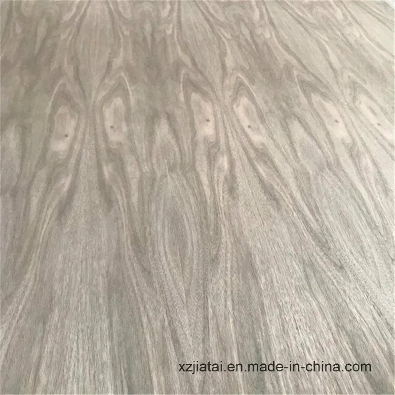 1220 *2440mm Black Walnut Fancy Plywood for Furniture