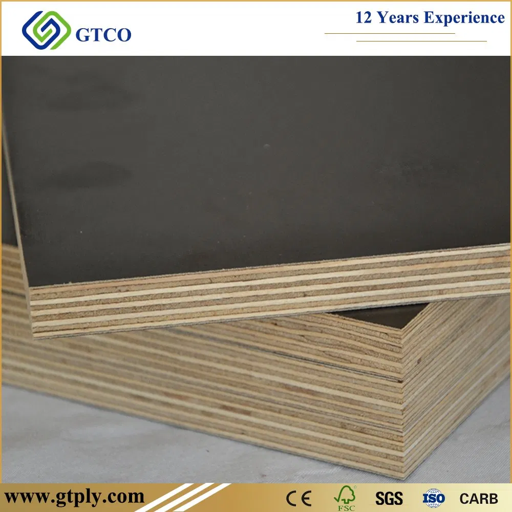 1220 *2440mm Building Board Eucalyptus Core WBP Glue Film Faced Plywood