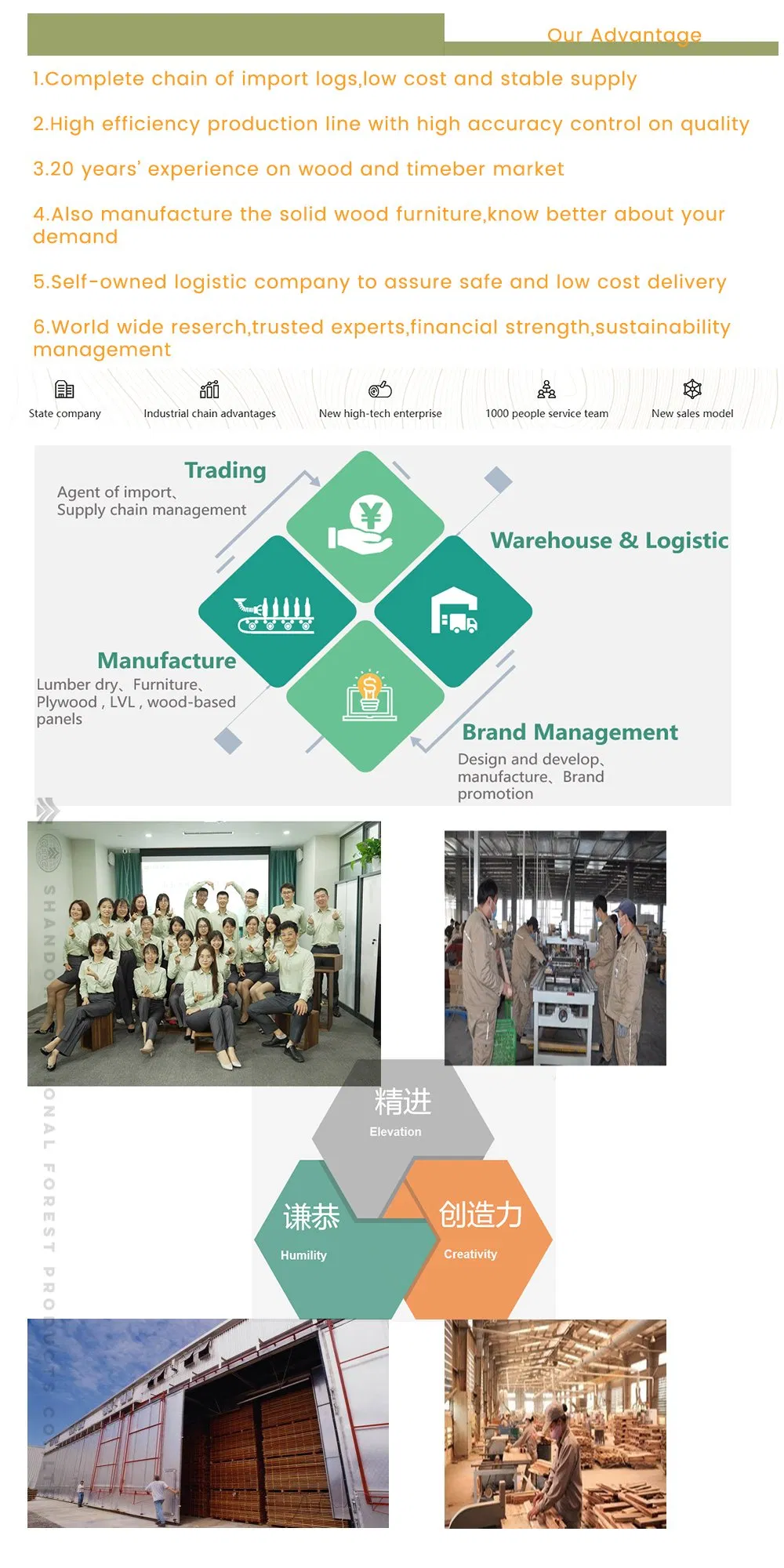 1220*2440mm Hardwood Bleached Commercial Wateproof Poplar Plywood