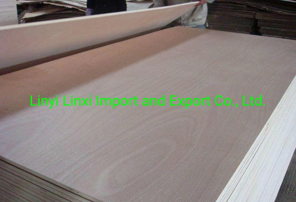 1220*2440mm Natural Bintangor/Okoume Face/Back Veneer Laminated Plywood for Furniture and Decoration