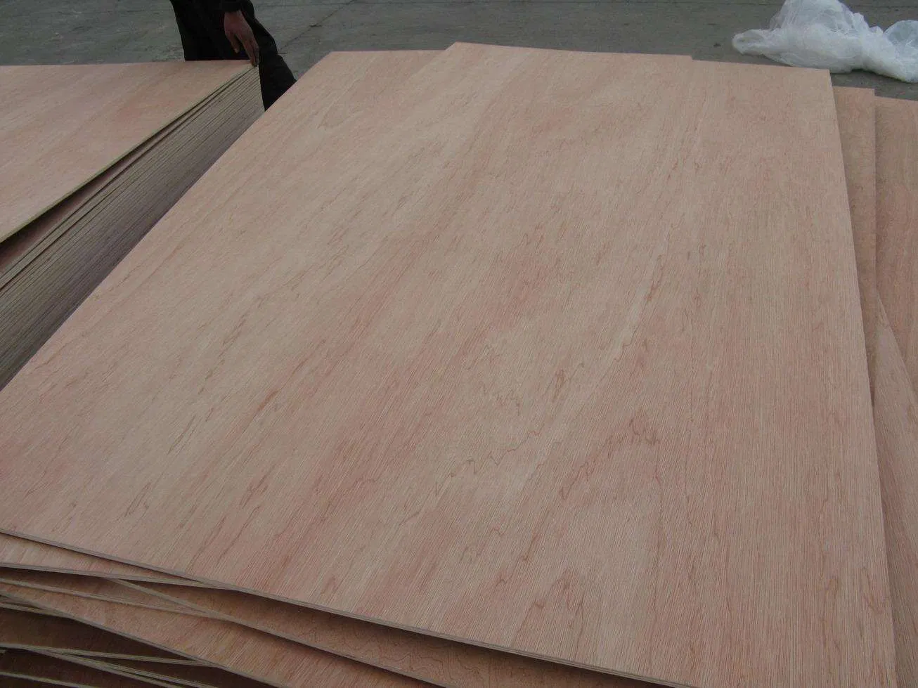 1220 *2440mm Natural Bintangor/Okoume Face/Back Veneer Laminated Plywood for Furniture and Decoration