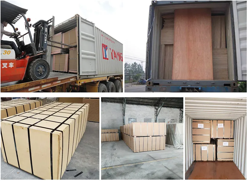1220*2440mm Poplar Core Commercial Plywood with High Quality