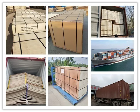 1220*2440mm WBP Melamine Phenolic Shuttering Film Faced Plywood