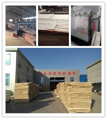 1220*2440mm WBP Melamine Phenolic Shuttering Film Faced Plywood