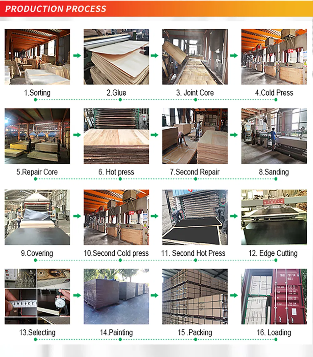 1220 X 2440 Building Material Shuttering Finger Jointed Core Dynea Film Plastic Film Faced Plywood for Construction