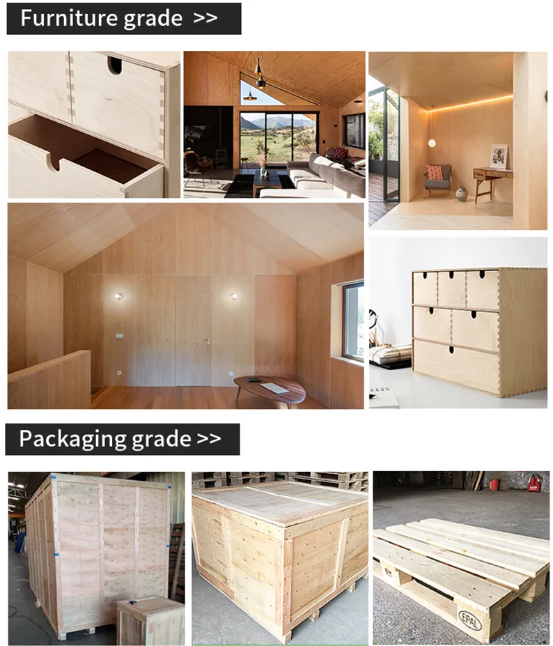1220 X 2440 Size Commercial Plywood Bb / Cc Grade Poplar Core Okoume / Bintangor Birch Plywood for Furniture Indoor