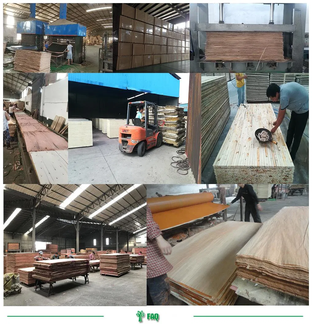 1220 X 2440 X 18 mm Waterproof Black Film Faced Plywood/Shuttering Plywood for Construction