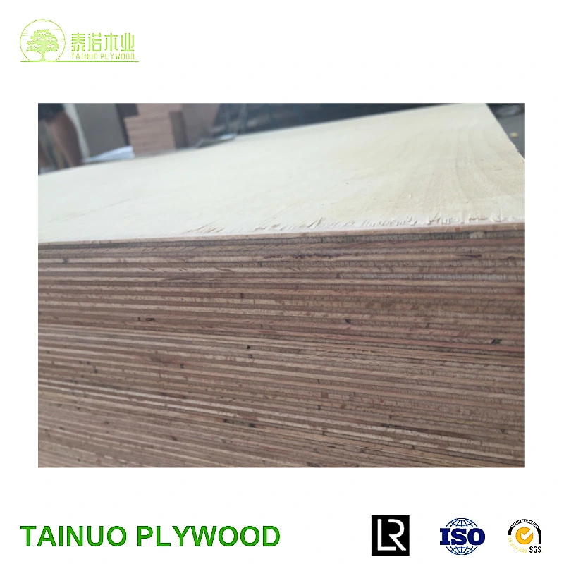 1220X2440 18mm A Grade Beech Plywood for Musical Instruments