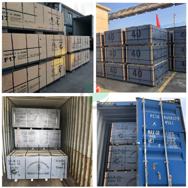 1220X2440X18mm Formply Eucalyptus for Australia Market