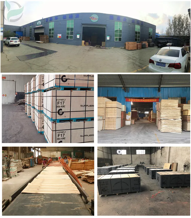 1220X2440X18mm Formply Eucalyptus for Australia Market