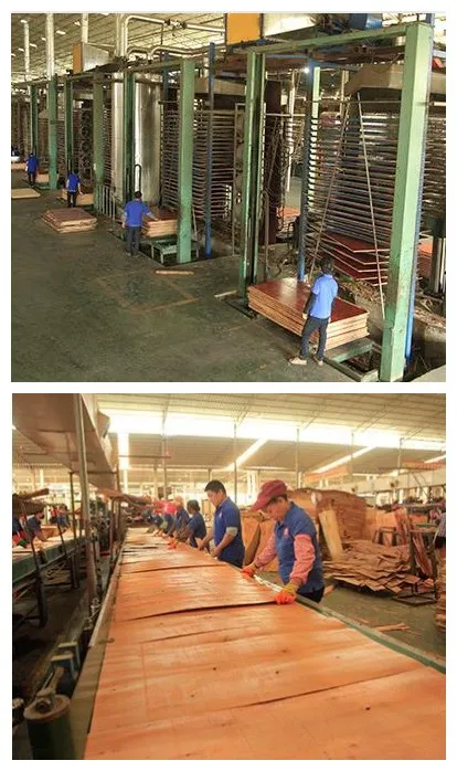 1220X2440X28mm Container Flooring Plywood Withvfsc Certificate