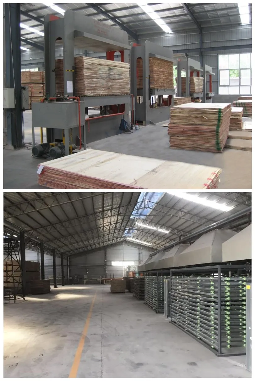 1220X2440X28mm Container Flooring Plywood Withvfsc Certificate