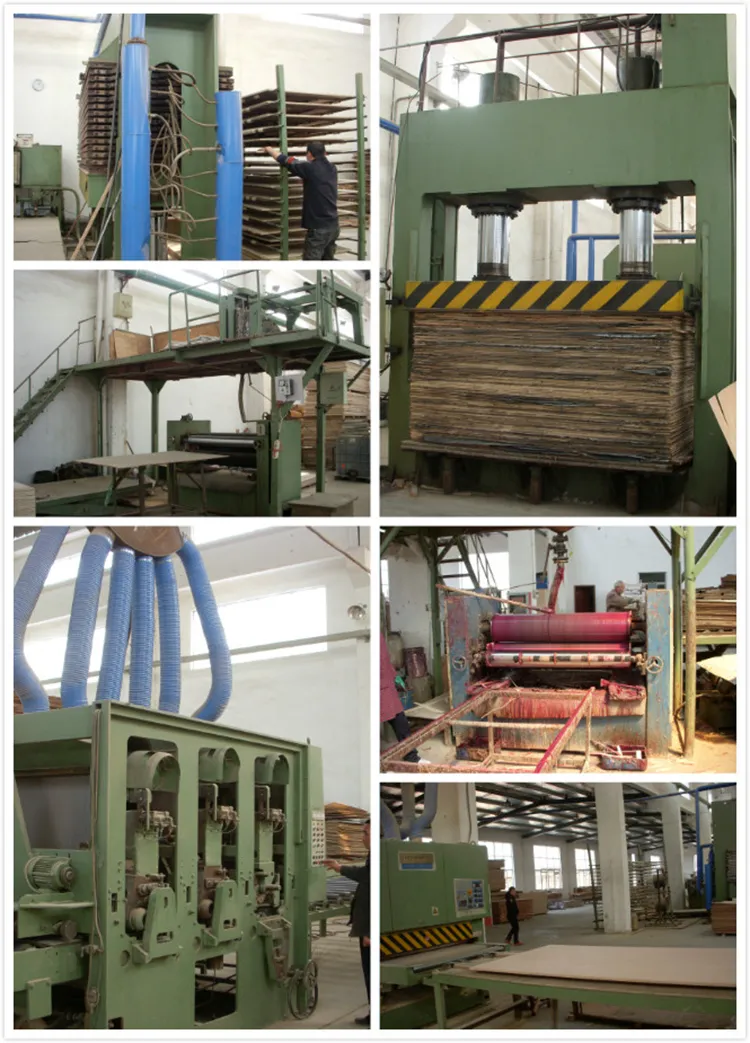 12mm 18mm 1220*2440mm Okoume Core Marine Plywood China Factory