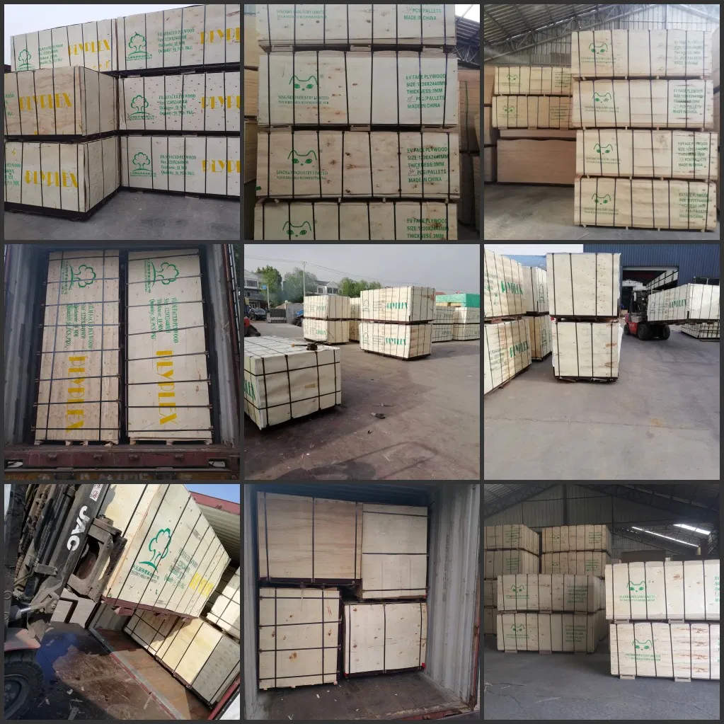 12mm 18mm 21mm Marine Plex Plywood Korinplex Plywood Price