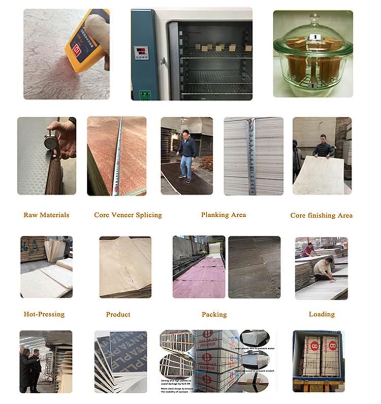 16mm 17mm 18mm Black Film Faced Plywood for African Market with Cheaper Price