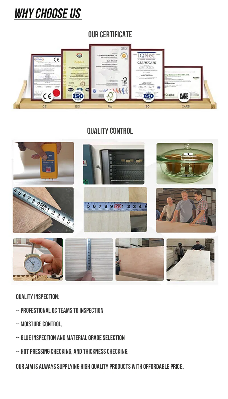 18mm BS1088 Standard Waterproof Marine Bb Grade Bintangor Plywood