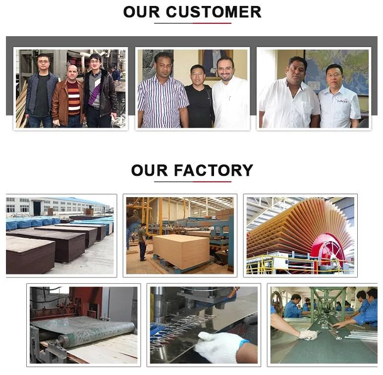 18mm Premium Pine 5X10 Large Size Plywood for furniture