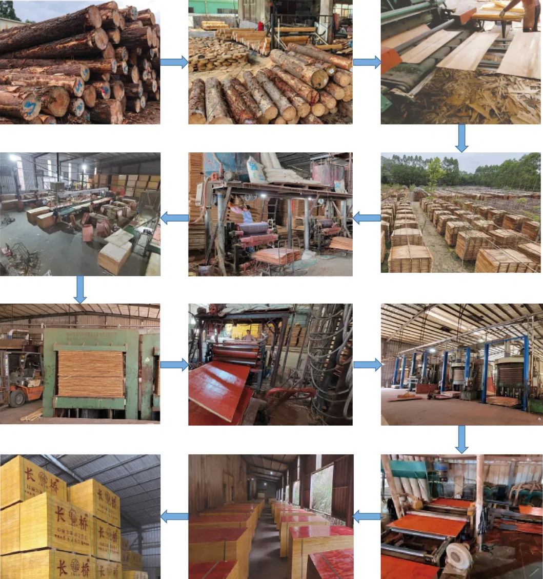 18mm Thickness Film Faced Plywood with Logo for Construction