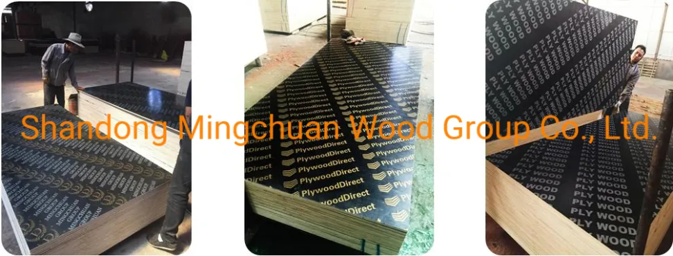 18mm Waterproof Plywood Formwork Shuttering Plex Film Faced Plywood